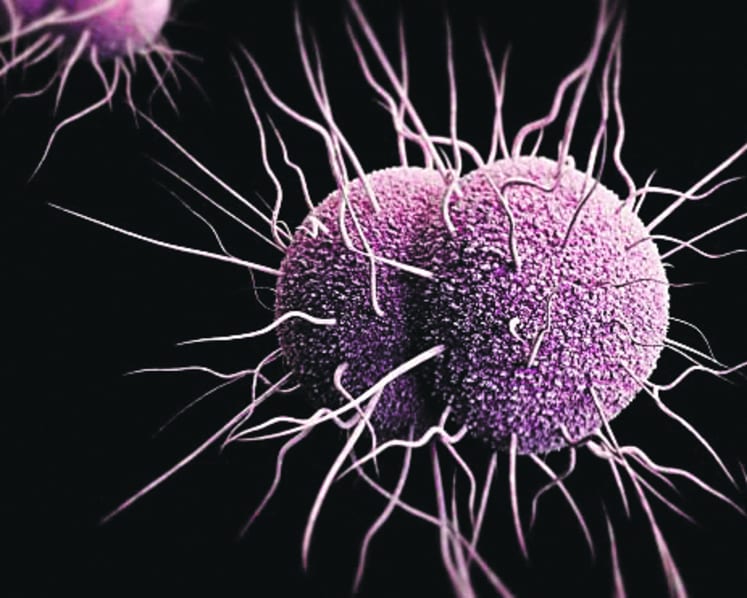 Hope or despair towards antimicrobial resistance?