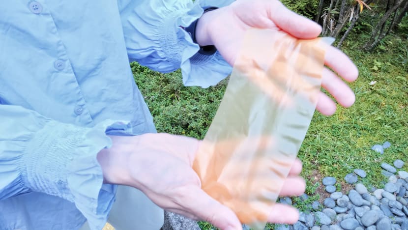 NTU scientists say their eco-friendly reusable pollen-based paper could be alternative to conventional paper
