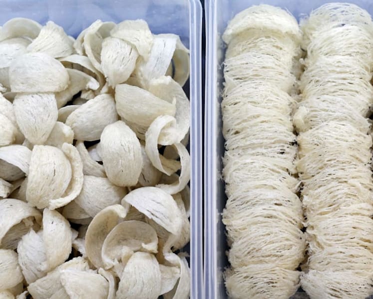 Sats cargo handler jailed 18 weeks for stealing over S$3,500 worth of bird’s nest in transit at Changi Airport