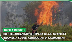 BERITA (19 Okt) | SG keluarkan notis kepada 3 lagi syarikat Indonesia susuli kebakaran di Kalimantan