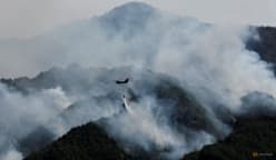 Global fire outbreaks hit record high as 'unprecedented' heat extremes loom, scientists say