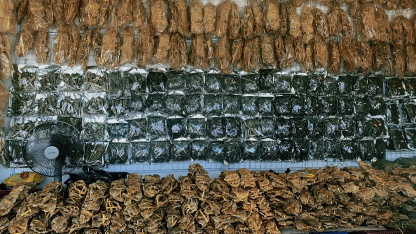 Global trafficking, booming online trade in Singapore, Malaysia could endanger sea cucumber and fish maw populations: NGO