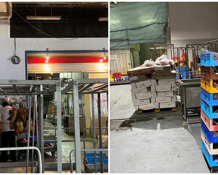 Handling of meat with bare hands among lapses found at meat processing facility: SFA