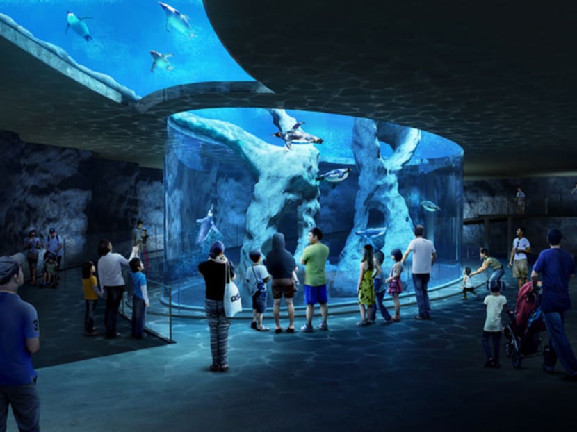 A new penguin tank will be built at the revamped Bird Park at Mandai. Photo: Mandai Park Holdings