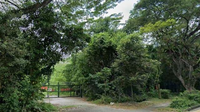 徐芳达：政府暂无计划列太戈尔森林为自然保护区