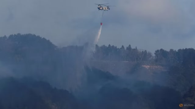 日本东北林火持续蔓延 逾1500人员参与灭火