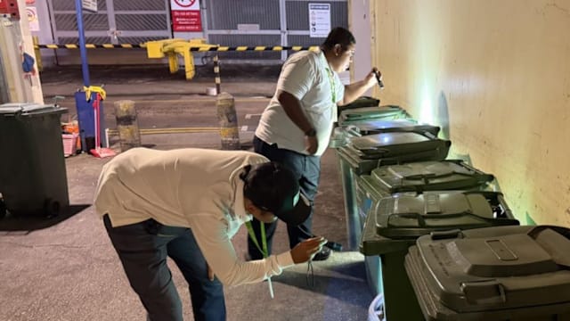 环境局：加强巡查和执法行动 防治鼠患