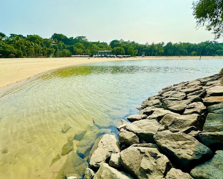 Oil spill clean-up completed ahead of schedule, more than 2 months after incident affected Sentosa, other beaches