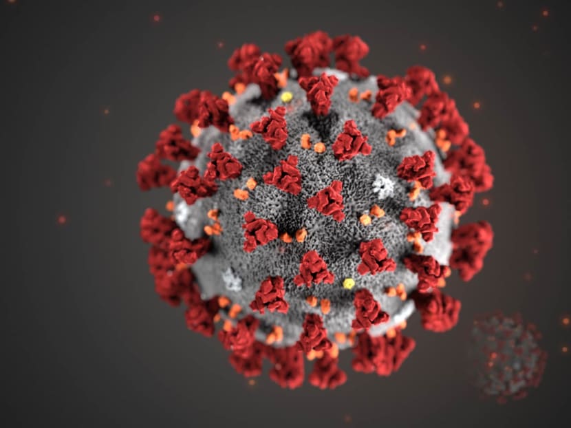 This illustration, created at the Centers for Disease Control and Prevention (CDC) in the United States, reveals ultrastructural morphology exhibited by coronaviruses.
