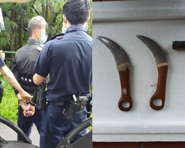 Man jailed more than 13 years for 'brutal' attack on safe distancing officer with hidden blade in walking stick 