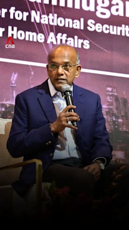  Immediate recognition of a Palestinian state may hurt the Palestinian cause: Shanmugam