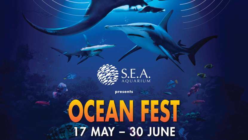 5 Sea-riously Cool Things You Didn’t Know You Could Do Underwater at Resorts World Sentosa 5 Sea-riously Cool Things You Didn’t Know You Could Do Underwater at Resorts World Sentosa