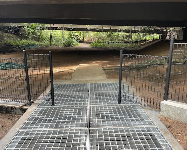 Fences, grids put up at Zhenghua Nature Park to reduce human-wild boar encounters