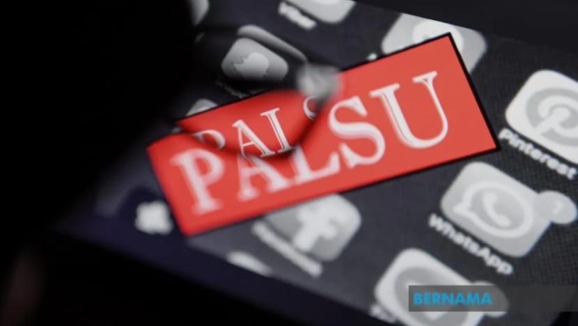 Mesej tular sindiket culik dan jual organ adalah palsu, dedah Polis M'sia