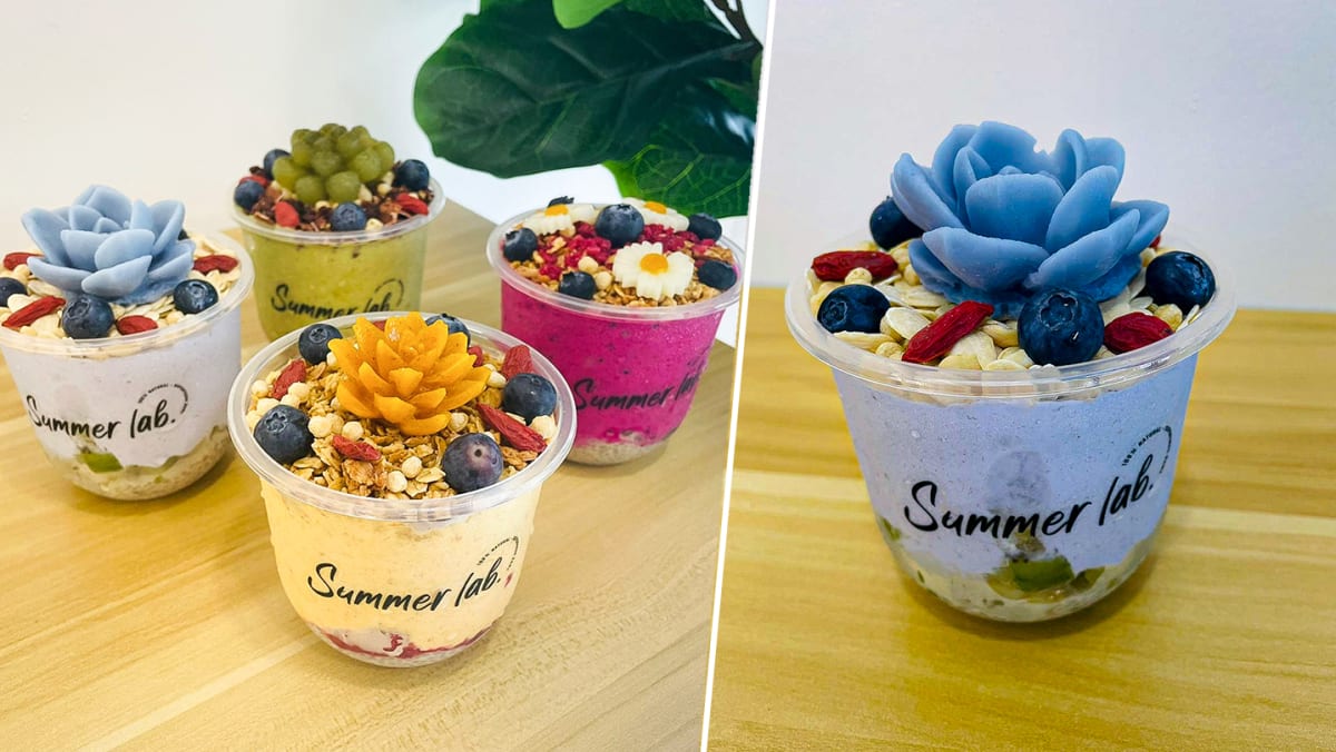 Smoothie Bowls That Look Like Adorable Potted Plants From New Shop In ...