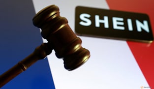 French minister raises 'not acceptable' Shein sex dolls with China