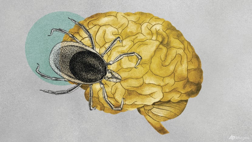 Cases of tick-borne illnesses are on the rise. Some experts believe climate change is the cause Cases of tick-borne illnesses are on the rise. Some experts believe climate change is the cause