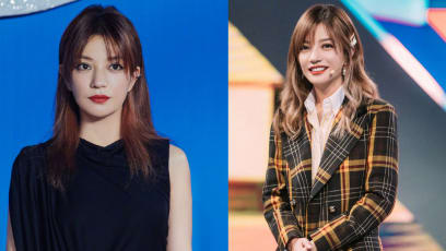 Vicki Zhao Is Not A Fan Of Stars Who Look Like Clones Of Each Other After Plastic Surgery
