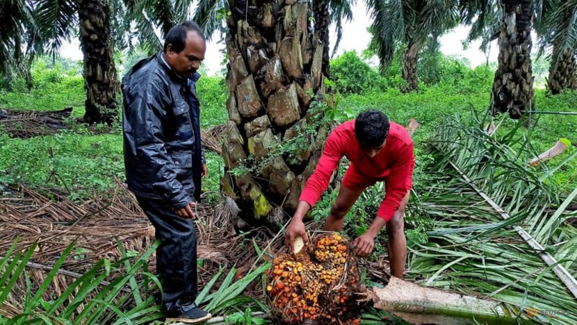 Indian refiners cancel palm oil orders due to price surge Indian refiners cancel palm oil orders due to price surge