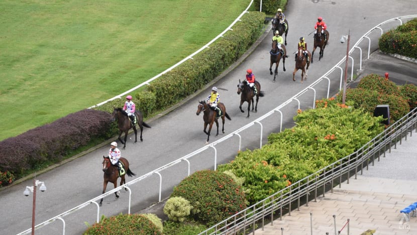 CNA Explains: The challenges of relocating hundreds of horses from Singapore Turf Club CNA Explains: The challenges of relocating hundreds of horses from Singapore Turf Club