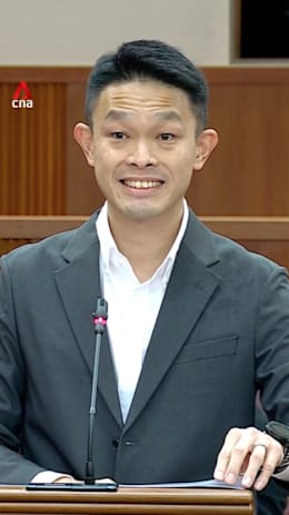 MP David Hoe proposes 'curiosity credits' - a 'SkillsFuture for children'