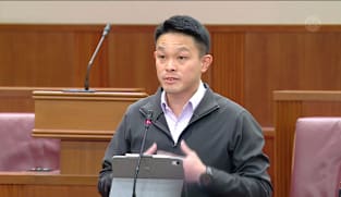 Committee of Supply 2026 debate, Day 4: David Hoe on MSE as aggregator for pest control