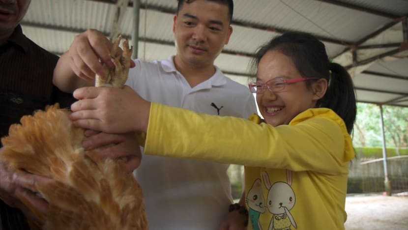 New immigrants worry children are getting 'soft' in Singapore