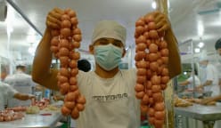 Sour, Salty & Alive - Microbes Meet Meat
