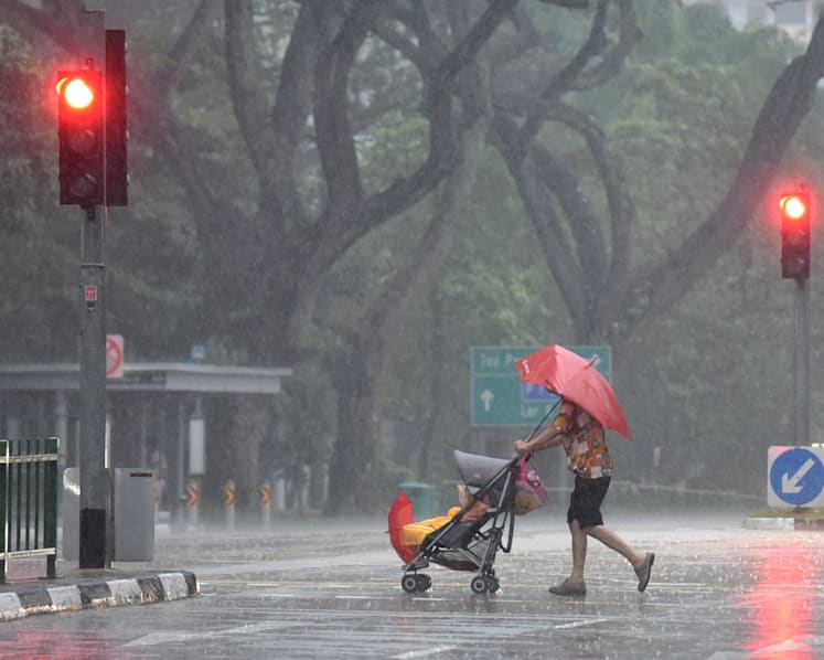 Wetter and cooler conditions expected during Chinese New Year period