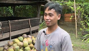 Philippine coconut farmers' woes in the spotlight at World Coconut Congress
