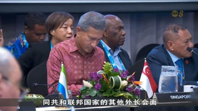 外交部长维文医生同共和联邦国家其他外长会面