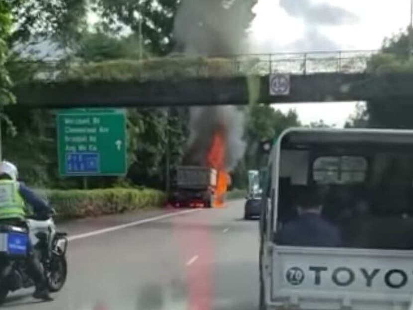 Footage of a blaze along the Central Expressway was captured by an in-car camera and later posted on social media.