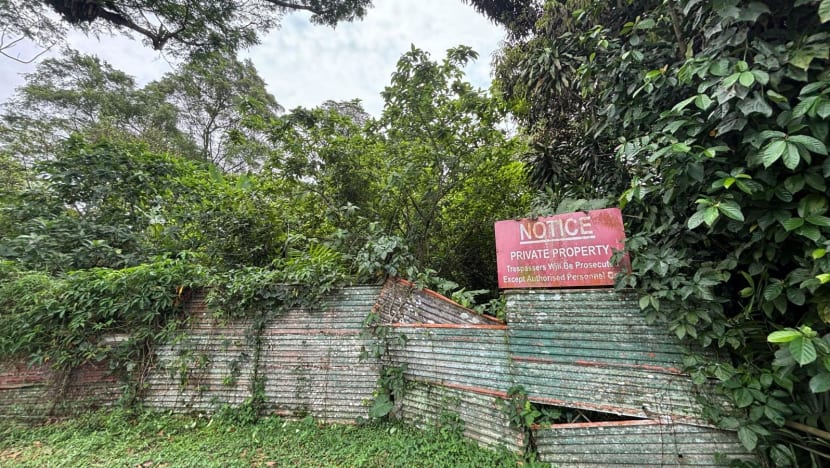 Singapore and Johor regent agree to swap land parcels at Holland Road