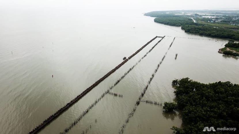 Salty rivers, failed durian trees and waves consuming the shore: Climate change realities hit Gulf of Thailand