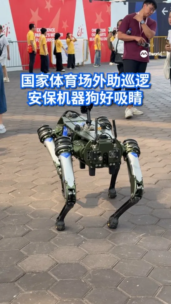 国家体育场外助巡逻 安保机器狗好吸睛