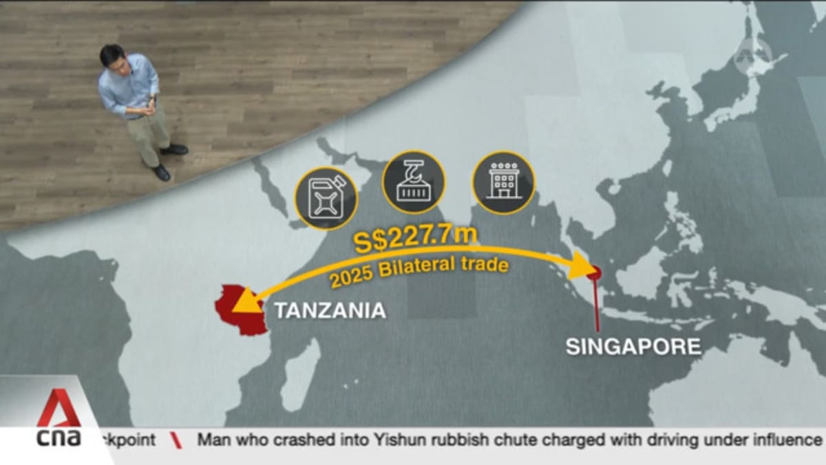 Singapore looks to strengthen ties with East Africa as President Tharman visits Tanzania