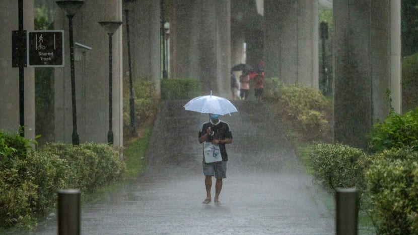 Wet weather set to continue for the rest of August; temperature may dip below 23°C 