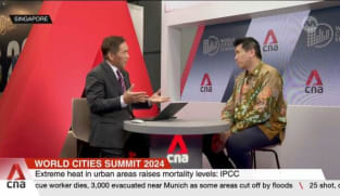 Green infrastructure and smart urban design are effective in cooling down cities: Expert