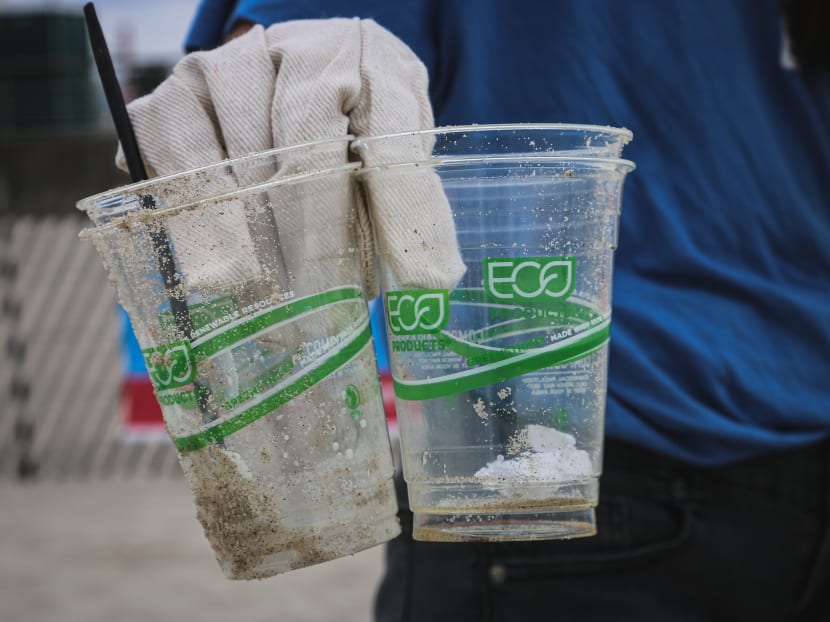 Time for better consumer safeguards in S'pore over 'greenwashing' products that are not sustainable Time for better consumer safeguards in S'pore over 'greenwashing' products that are not sustainable