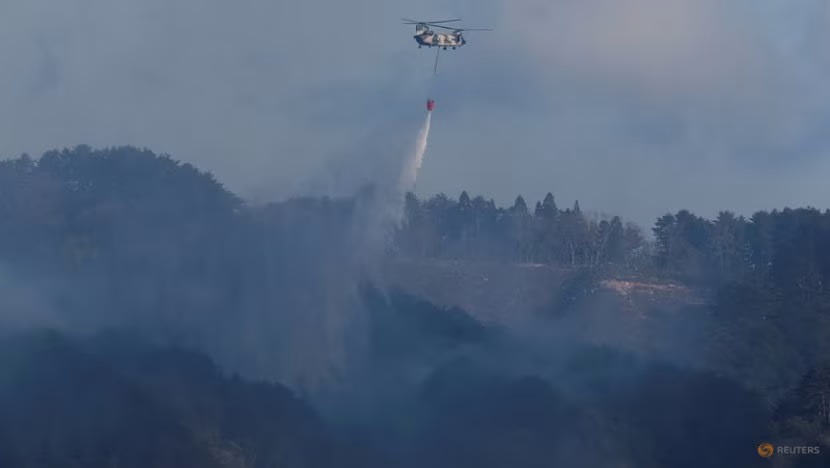 Jepun kerah 1,400 anggota bomba untuk padam kebakaran hutan di utara