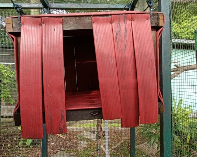 Old SCDF fire hoses get new lease of life as toys for bears and other rescued wildlife in Laos
