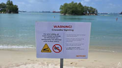 Related article image