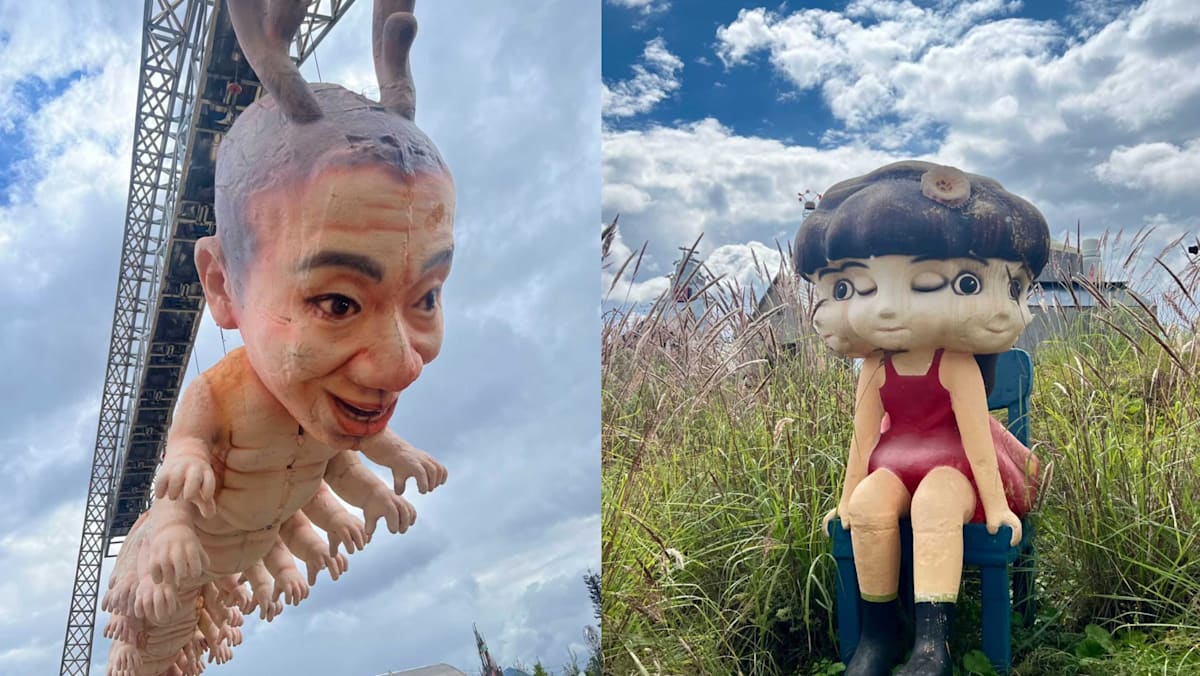 ‘Horrifying’: Theme park in southwest China apologises after viral sculptures spark backlash