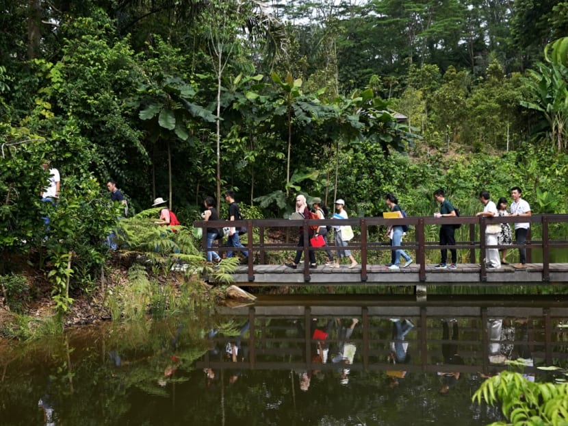 Gallery: New Learning Forest opens at Singapore Botanic Gardens