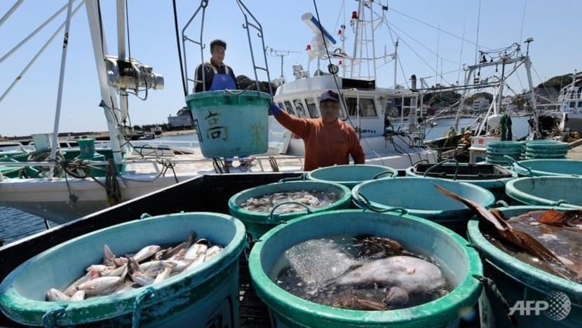 9 negara termasuk Jepun setuju kurangkan kuota tangkapan ikan sanma