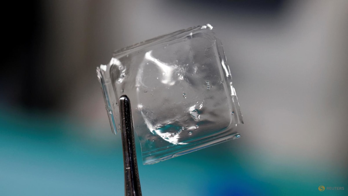 Scientists in Japan develop plastic that dissolves in seawater within hours