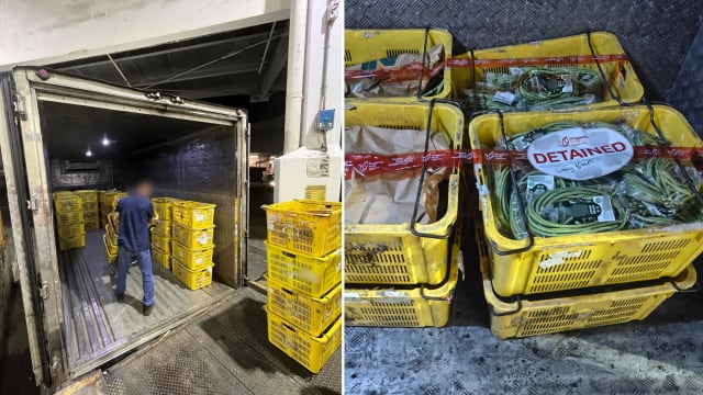 食品局查获280公斤非法从马国进口农产品