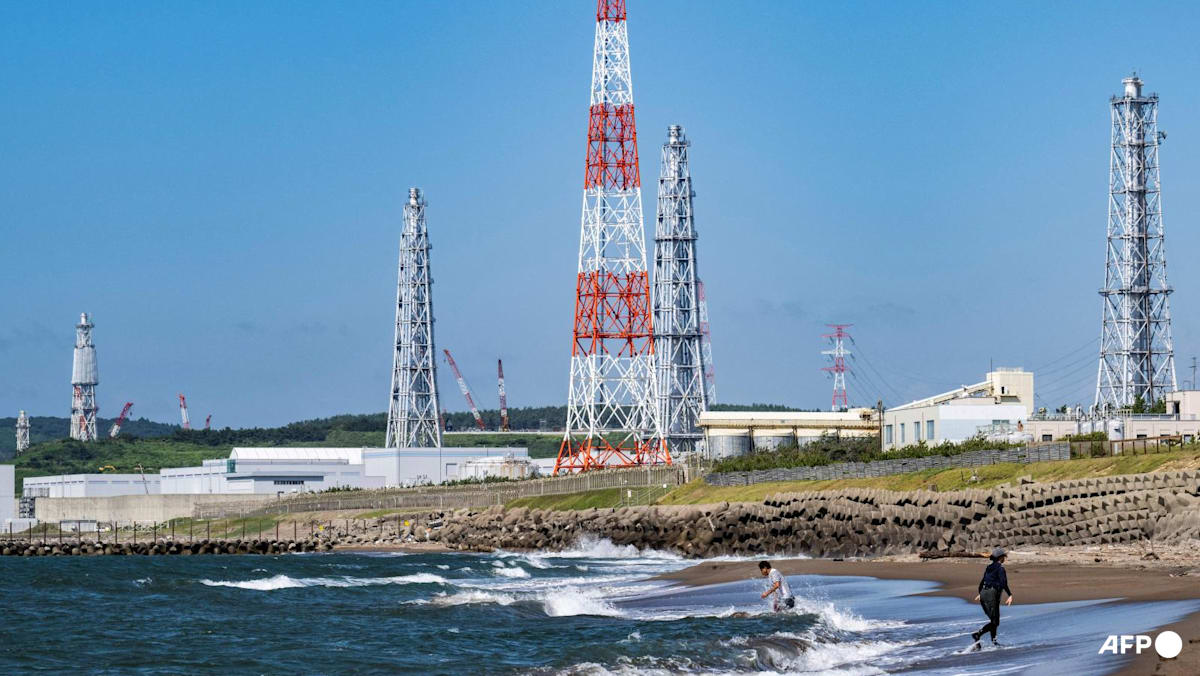 Japan restarts operations at world's largest nuclear plant, 15