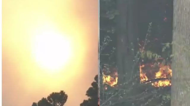 日本东北部林火持续延烧 火势向城镇中心蔓延