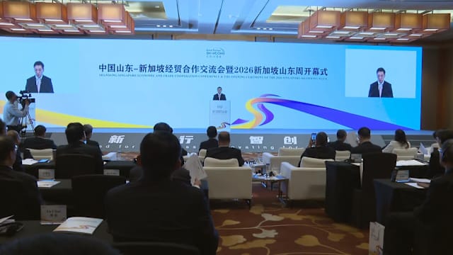 新加坡山东上半年双边贸易额超50亿元 本地企业投资额同比翻倍